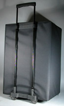 Luggage cart for carrying cases