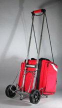 Luggage cart for carrying cases