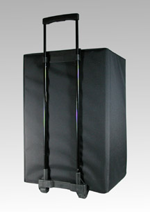 custom carrying case